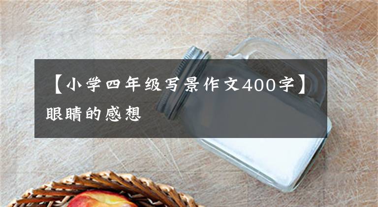 【小学四年级写景作文400字】眼睛的感想