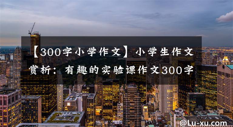 【300字小学作文】小学生作文赏析：有趣的实验课作文300字(精选范文3篇)