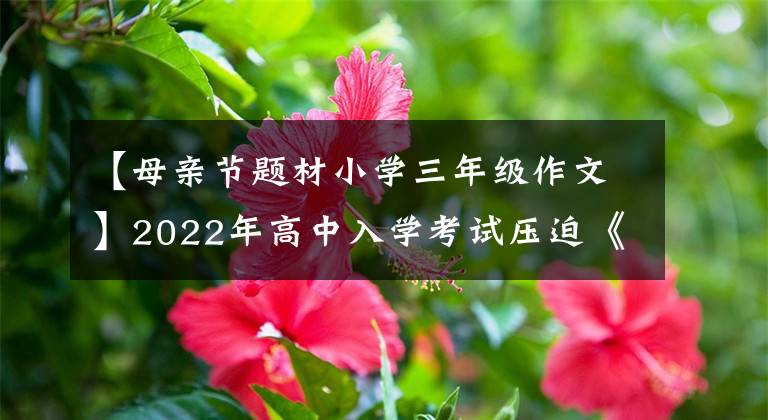 【母亲节题材小学三年级作文】2022年高中入学考试压迫《母亲节》特辑《痛我心扉的瞬间》展览回顾