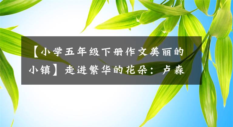 【小学五年级下册作文美丽的小镇】走进繁华的花朵：卢森堡(3)-村里的低语