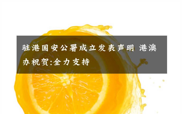 驻港国安公署成立发表声明 港澳办祝贺:全力支持