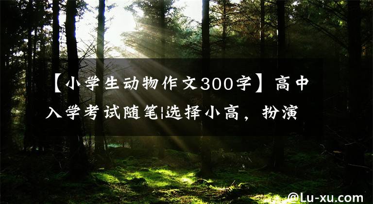 【小学生动物作文300字】高中入学考试随笔|选择小高，扮演倒闭的小猫