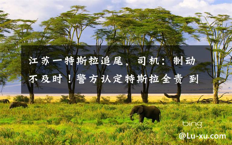 江苏一特斯拉追尾，司机：制动不及时！警方认定特斯拉全责 到底什么情况呢？