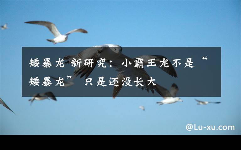 矮暴龙 新研究：小霸王龙不是“矮暴龙” 只是还没长大