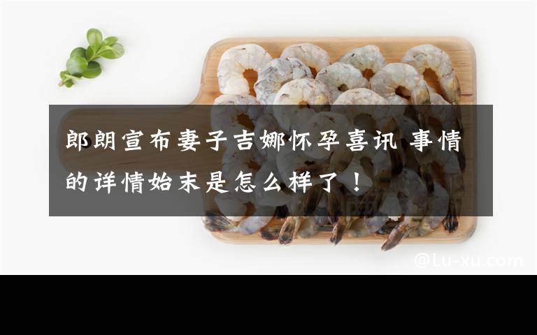 郎朗宣布妻子吉娜怀孕喜讯 事情的详情始末是怎么样了！
