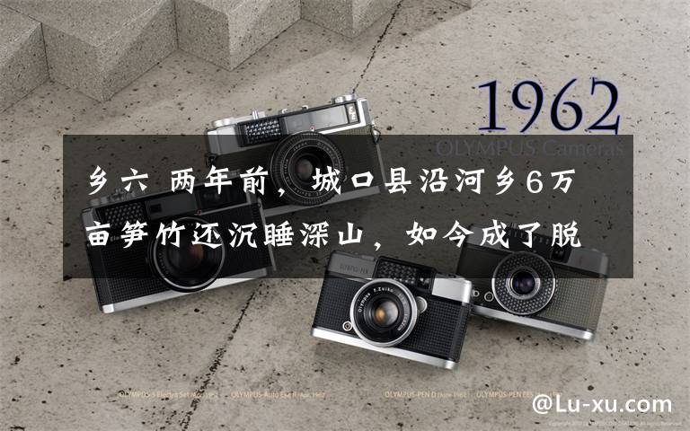 乡六 两年前，城口县沿河乡6万亩笋竹还沉睡深山，如今成了脱贫致富支柱产业——工厂进村 竹笋出山