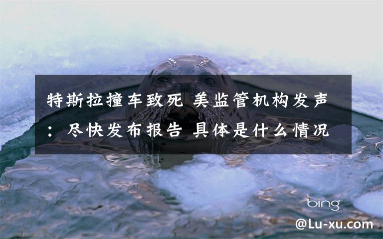 特斯拉撞车致死 美监管机构发声：尽快发布报告 具体是什么情况？
