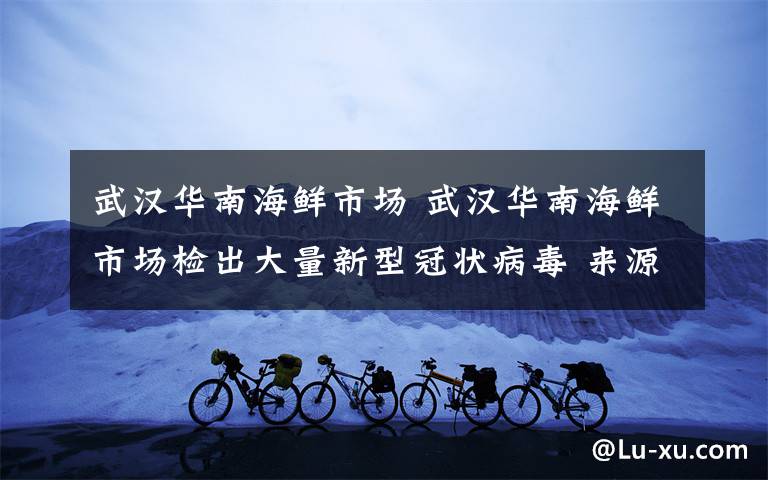 武汉华南海鲜市场 武汉华南海鲜市场检出大量新型冠状病毒 来源于其销售的野生动物