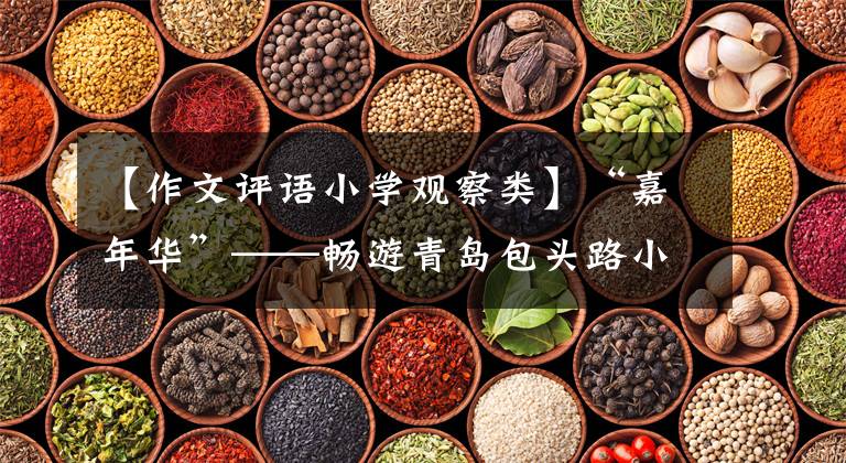 【作文评语小学观察类】“嘉年华”——畅游青岛包头路小学，进行期末低年级无纸化特色评价。