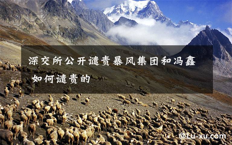 深交所公开谴责暴风集团和冯鑫 如何谴责的