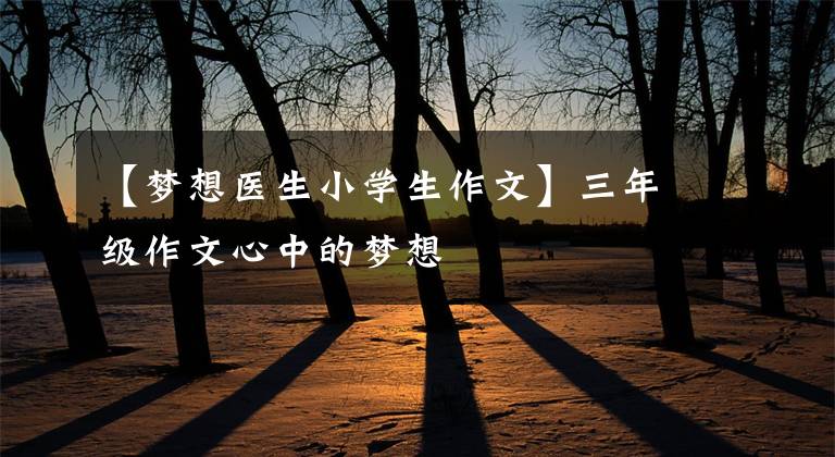 【梦想医生小学生作文】三年级作文心中的梦想
