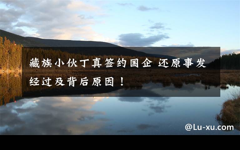 藏族小伙丁真签约国企 还原事发经过及背后原因！