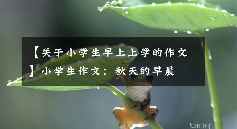 【关于小学生早上上学的作文】小学生作文：秋天的早晨
