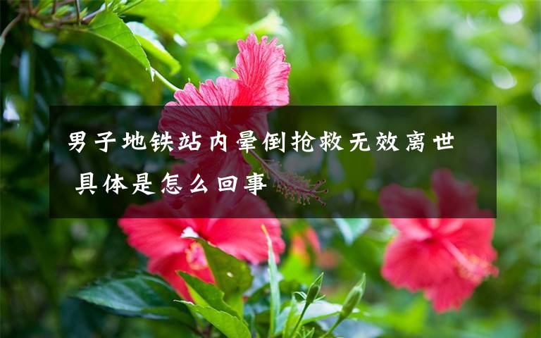 男子地铁站内晕倒抢救无效离世 具体是怎么回事
