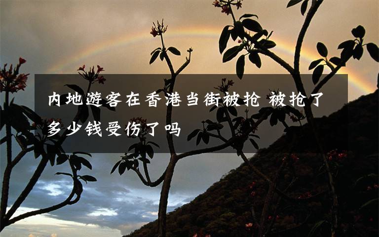 内地游客在香港当街被抢 被抢了多少钱受伤了吗