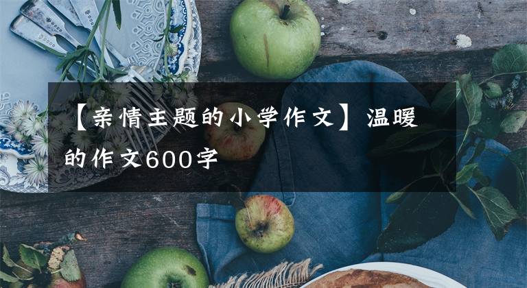 【亲情主题的小学作文】温暖的作文600字