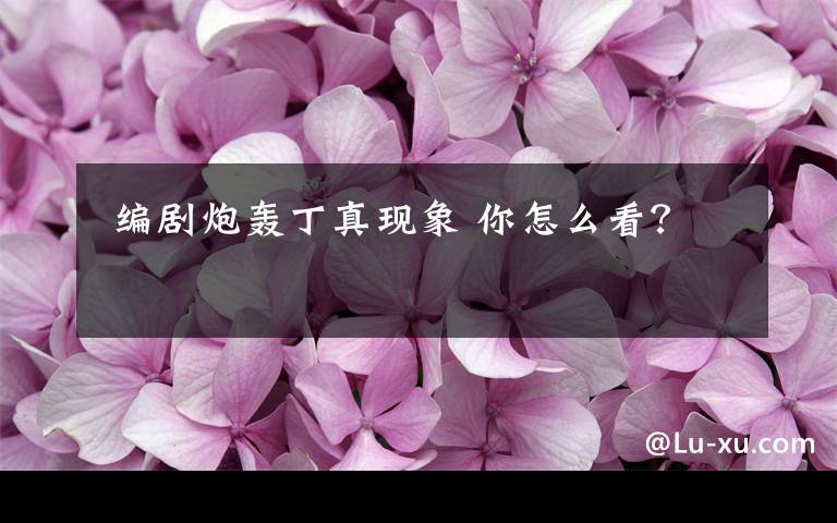  编剧炮轰丁真现象 你怎么看？