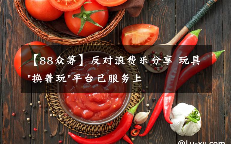 【88众筹】反对浪费乐分享 玩具"换着玩"平台已服务上万家庭