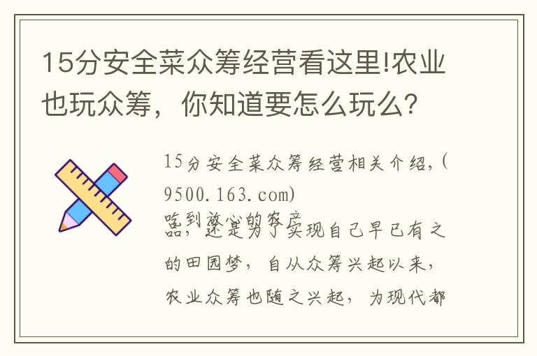 15分安全菜众筹经营看这里!农业也玩众筹，你知道要怎么玩么？