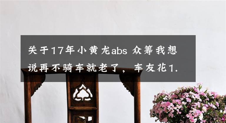 关于17年小黄龙abs 众筹我想说再不骑车就老了，车友花1.78万元购入小黄龙250，动力不逊于GW250