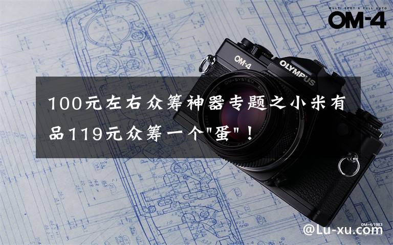 100元左右众筹神器专题之小米有品119元众筹一个"蛋"！年轻人放松神器？