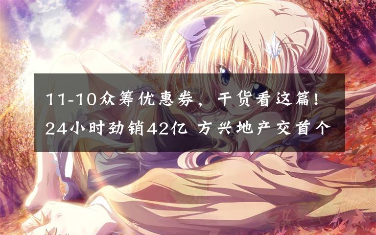 11-10众筹优惠券，干货看这篇!24小时劲销42亿 方兴地产交首个“双11光盘节”成绩单
