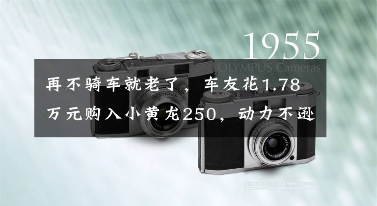 再不骑车就老了，车友花1.78万元购入小黄龙250，动力不逊于GW250