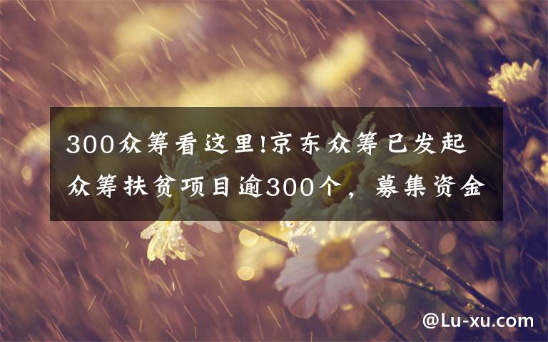 300众筹看这里!京东众筹已发起众筹扶贫项目逾300个，募集资金超1490万元