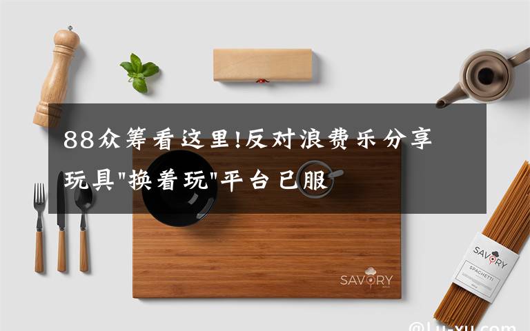 88众筹看这里!反对浪费乐分享 玩具"换着玩"平台已服务上万家庭
