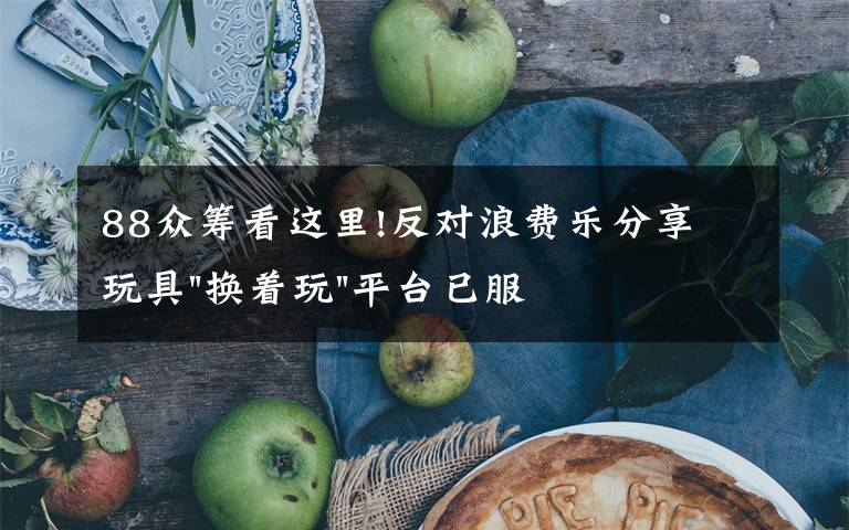 88众筹看这里!反对浪费乐分享 玩具"换着玩"平台已服务上万家庭