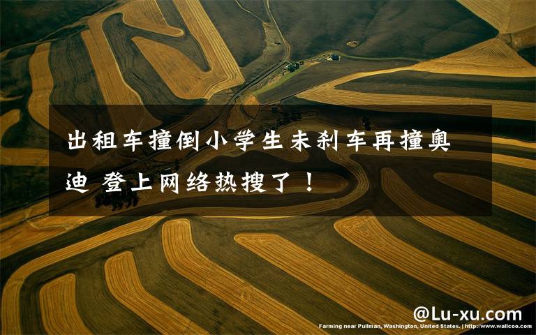出租车撞倒小学生未刹车再撞奥迪 登上网络热搜了！