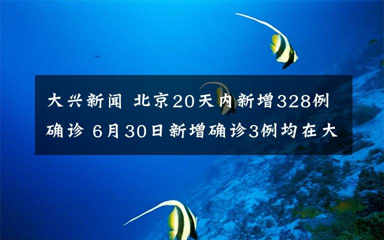 大兴新闻 北京20天内新增328例确诊 6月30日新增确诊3例均在大兴