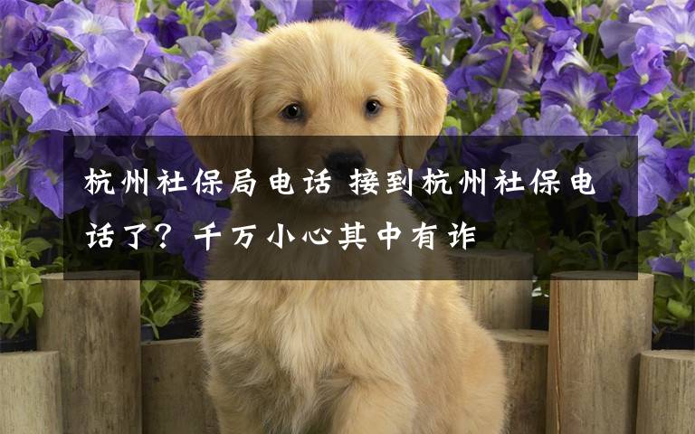 杭州社保局电话 接到杭州社保电话了？千万小心其中有诈