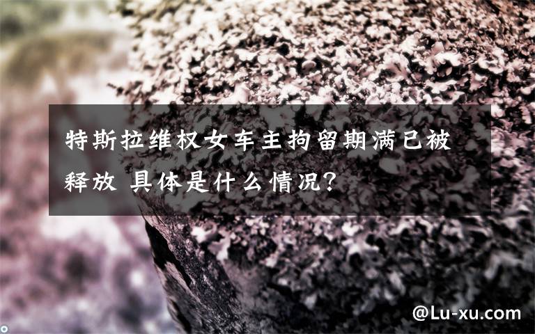 特斯拉维权女车主拘留期满已被释放 具体是什么情况？