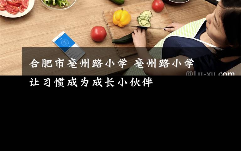 合肥市亳州路小学 亳州路小学 让习惯成为成长小伙伴