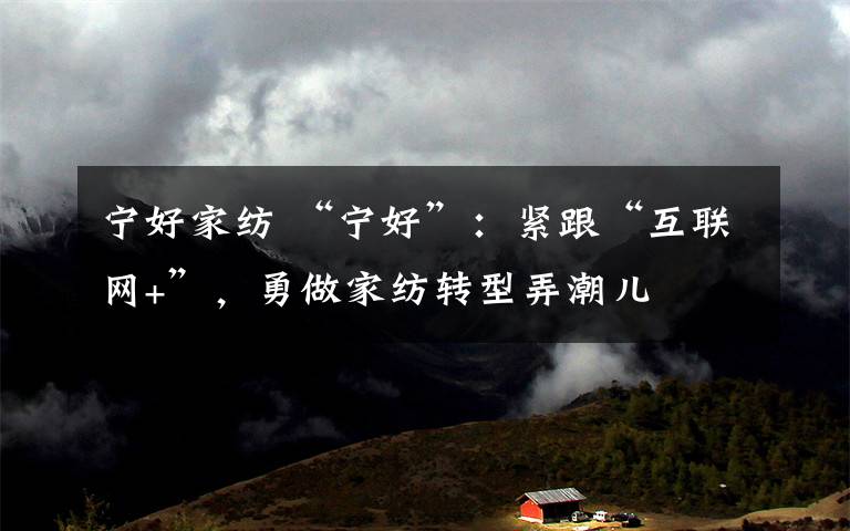 宁好家纺 “宁好”：紧跟“互联网+”，勇做家纺转型弄潮儿