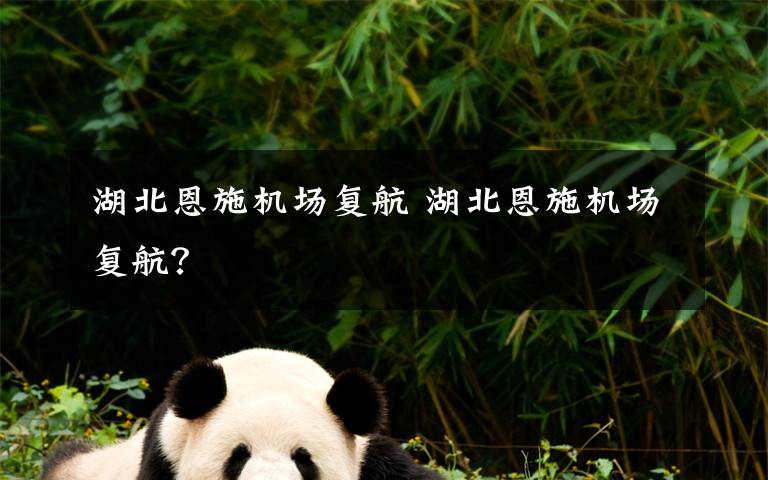 湖北恩施机场复航 湖北恩施机场复航？