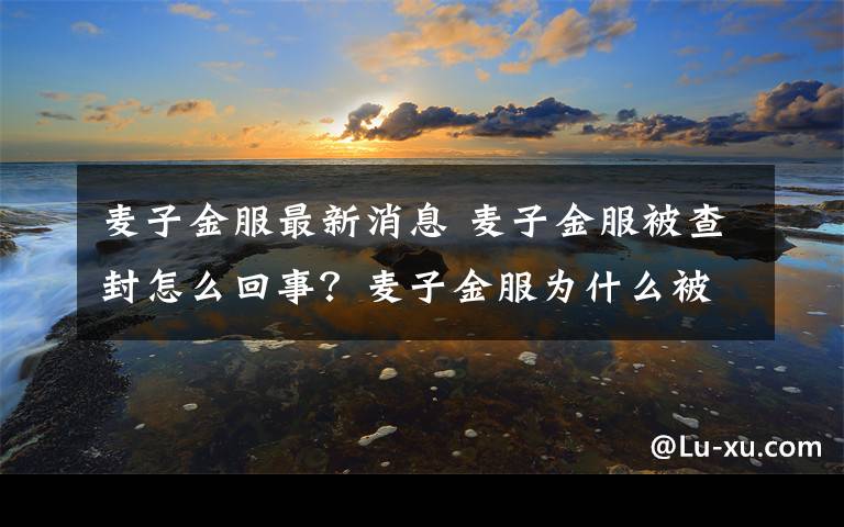 麦子金服最新消息 麦子金服被查封怎么回事？麦子金服为什么被查封背后原因揭秘