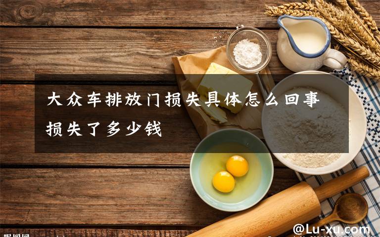 大众车排放门损失具体怎么回事损失了多少钱