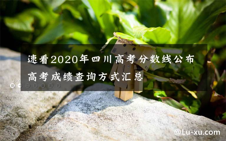 速看2020年四川高考分数线公布高考成绩查询方式汇总