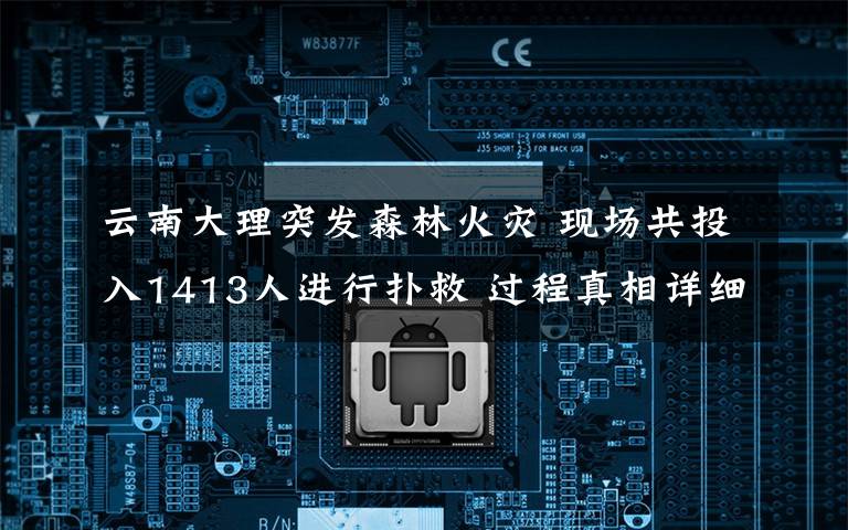 云南大理突发森林火灾 现场共投入1413人进行扑救 过程真相详细揭秘！