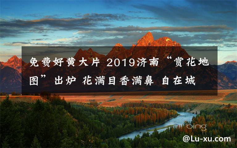 免费好黄大片 2019济南“赏花地图”出炉 花满目香满鼻 自在城区游