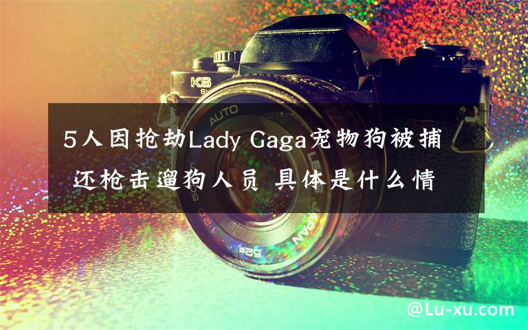 5人因抢劫Lady Gaga宠物狗被捕 还枪击遛狗人员 具体是什么情况？