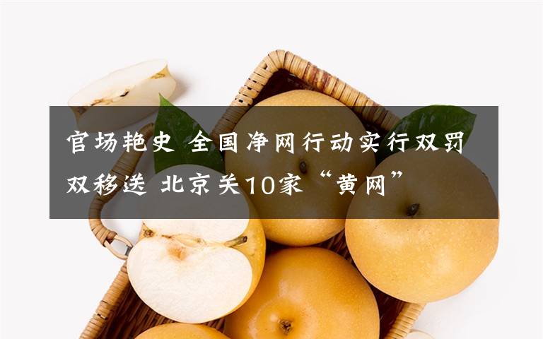 官场艳史 全国净网行动实行双罚双移送 北京关10家“黄网”