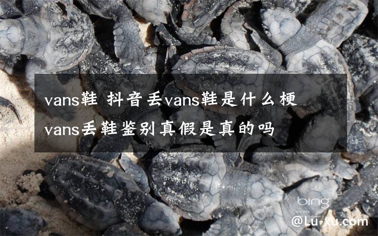 vans鞋 抖音丢vans鞋是什么梗 vans丢鞋鉴别真假是真的吗