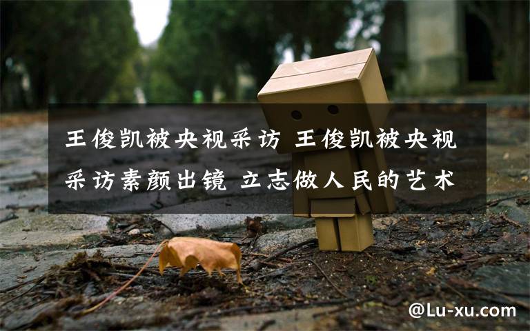 王俊凯被央视采访 王俊凯被央视采访素颜出镜 立志做人民的艺术家