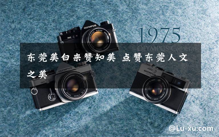 东莞美白来赞知美 点赞东莞人文之美