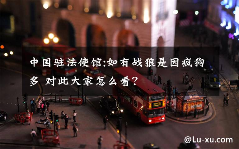 中国驻法使馆:如有战狼是因疯狗多 对此大家怎么看？