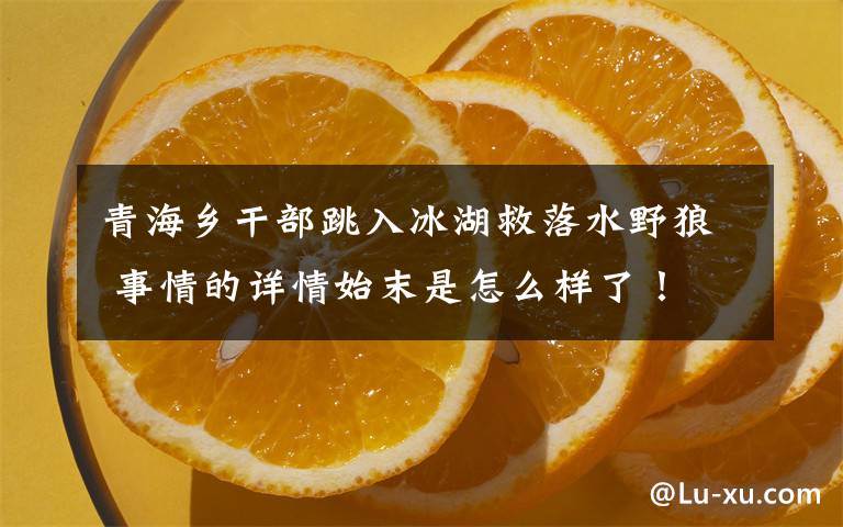 青海乡干部跳入冰湖救落水野狼 事情的详情始末是怎么样了！