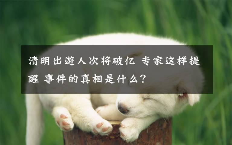 清明出游人次将破亿 专家这样提醒 事件的真相是什么？